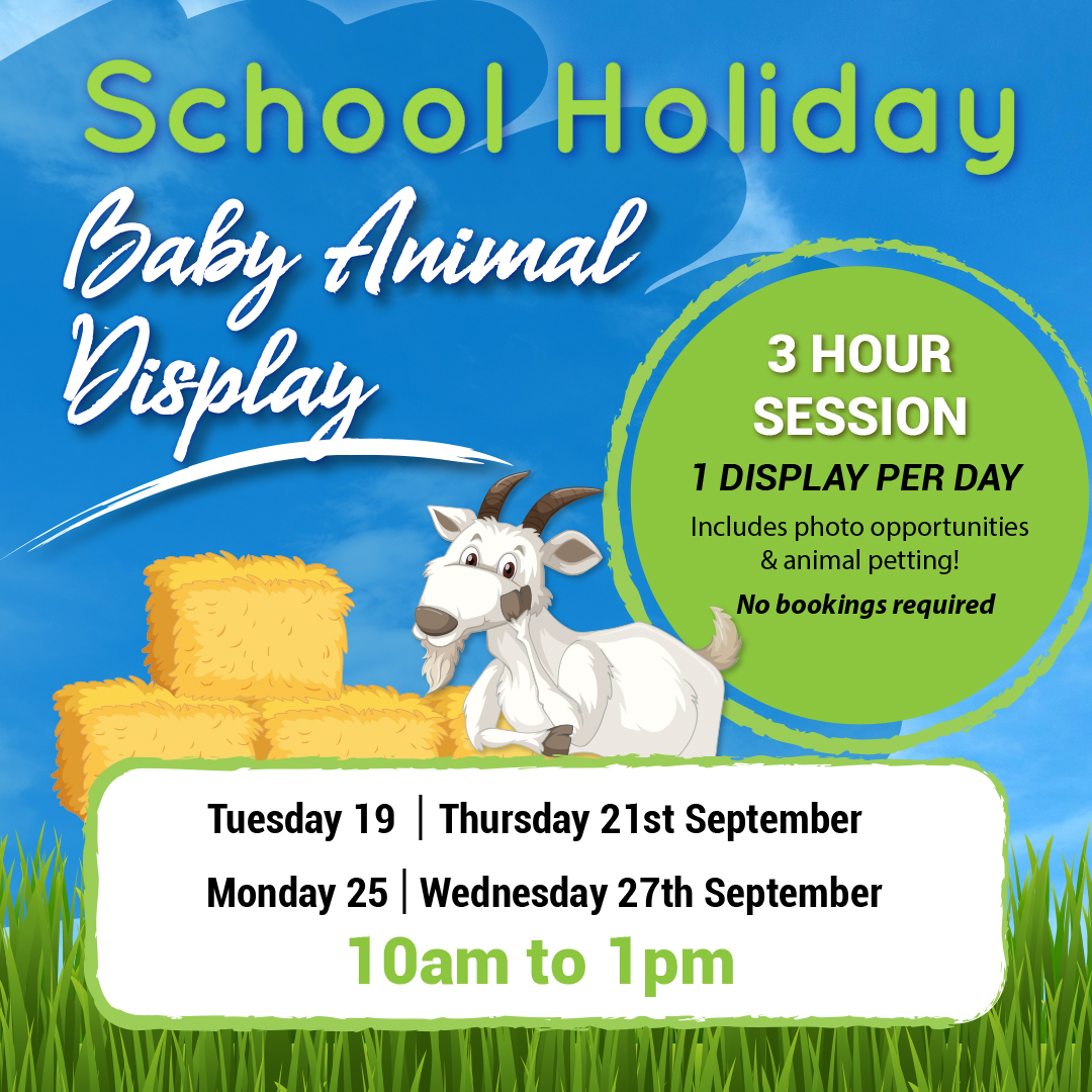FREE Baby Animal Display these School Holidays!